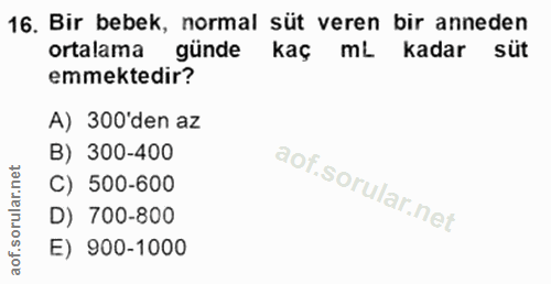 Soru 16