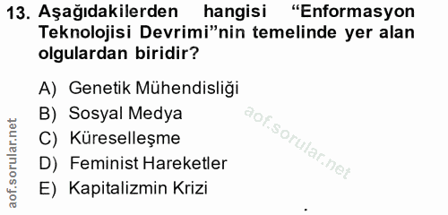 Soru 13