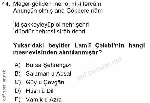 Soru 14