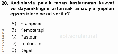 Soru 20