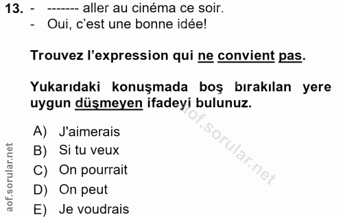 Soru 13