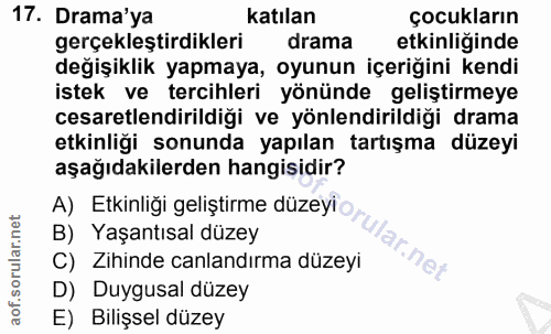Soru 17