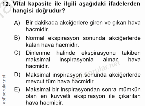 Soru 12