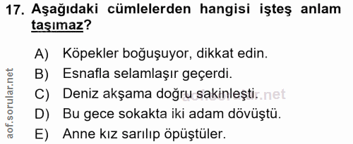 Soru 17