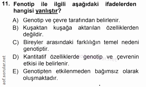 Soru 11