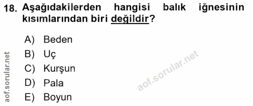 Soru 18