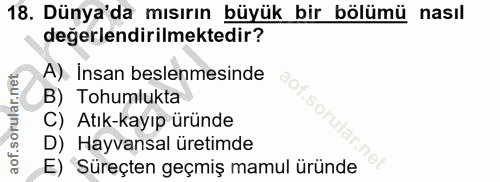 Soru 18