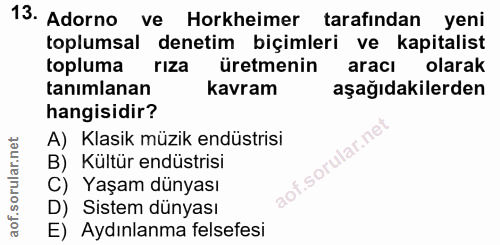 Soru 13
