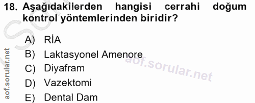 Soru 18