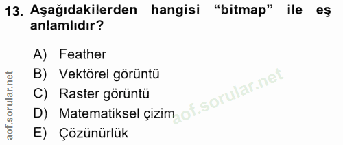 Soru 13