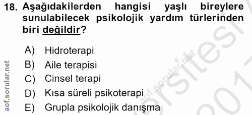 Soru 18