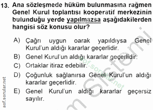 Soru 13