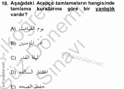 Soru 18
