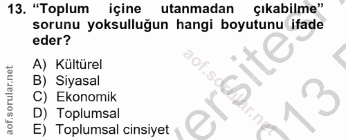 Soru 13