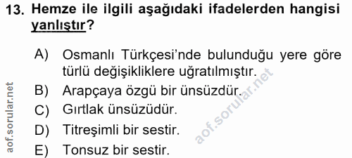 Soru 13