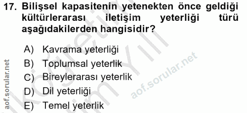 Soru 17