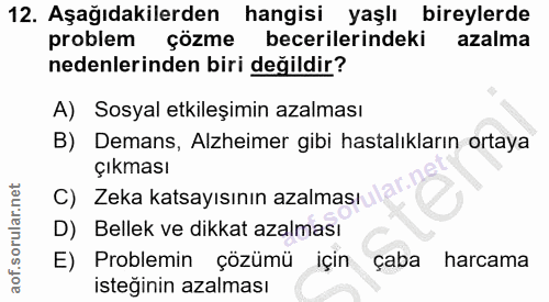 Soru 12