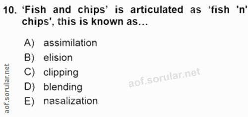 Soru 10