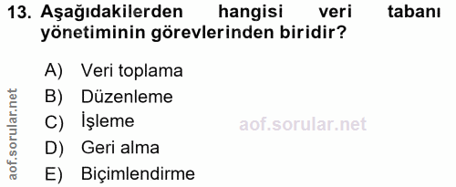 Soru 13