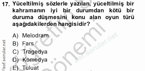 Soru 17