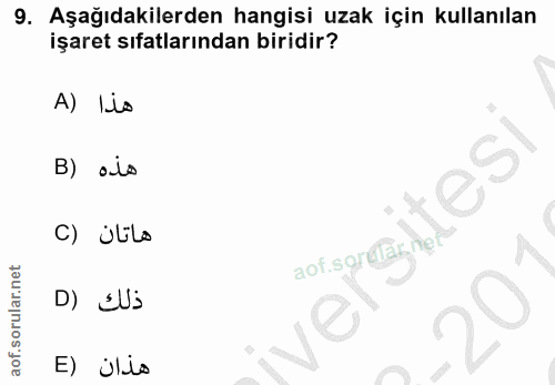 Soru 9