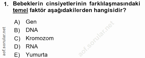 Soru 1