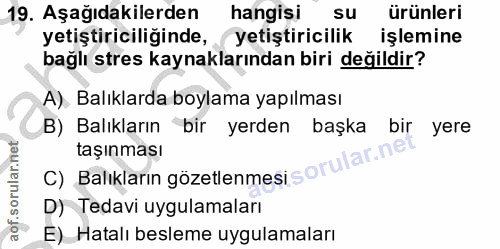 Soru 19