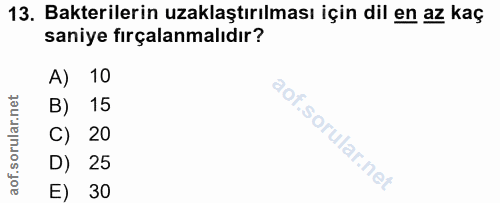 Soru 13