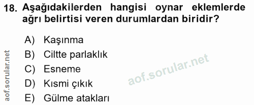 Soru 18