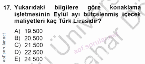 Soru 17