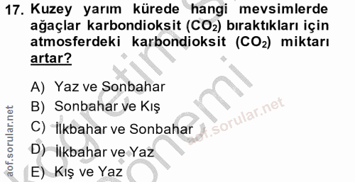 Soru 17