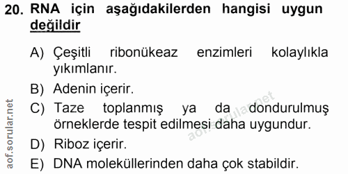 Soru 20