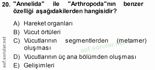 Soru 20