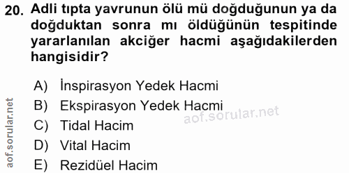 Soru 20