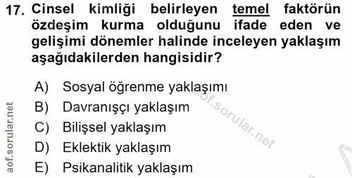 Soru 17