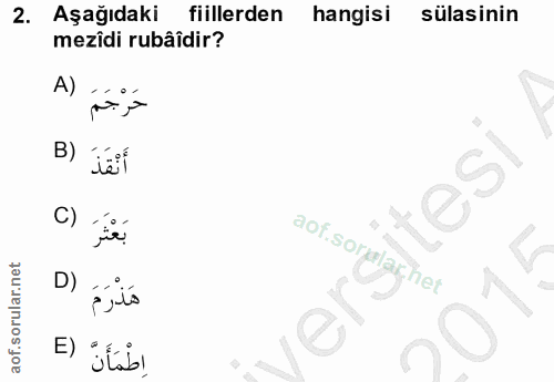 Soru 2