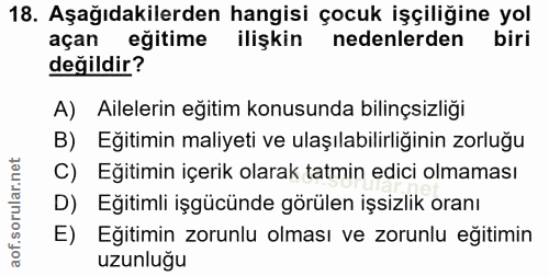 Soru 18