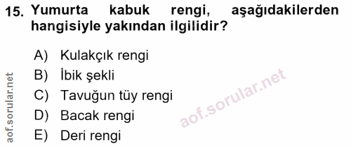 Soru 15