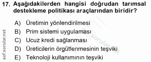 Soru 17