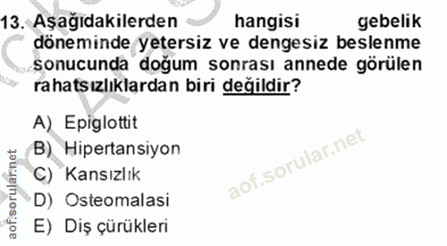 Soru 13