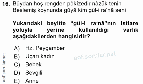 Soru 16
