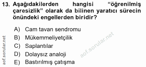 Soru 13