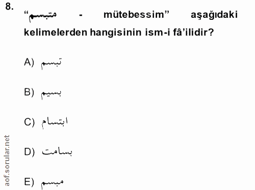 Soru 8