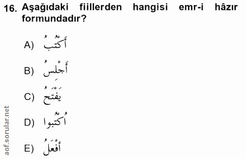 Soru 16