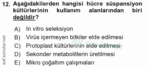 Soru 12