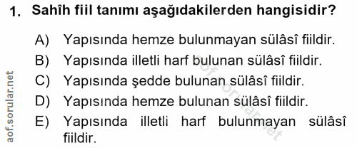 Soru 1