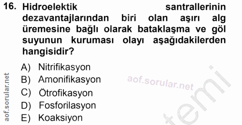 Soru 16