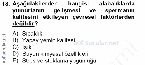 Soru 18