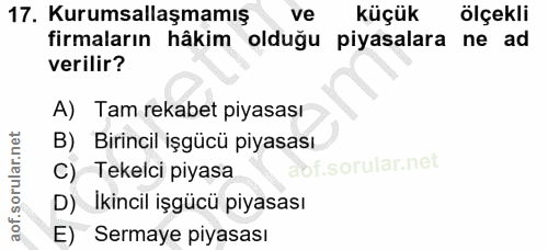 Soru 17