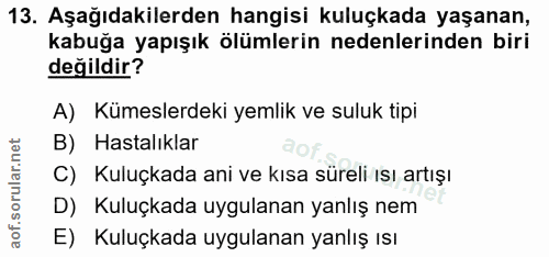 Soru 13